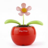 Fleur solaire