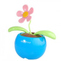 Fleur solaire